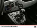 Fiat Panda 1.0 firefly hybrid city life s&s 70cv Noir - thumbnail 12