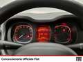 Fiat Panda 1.0 firefly hybrid city life s&s 70cv Noir - thumbnail 16