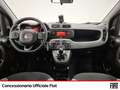 Fiat Panda 1.0 firefly hybrid city life s&s 70cv Noir - thumbnail 9