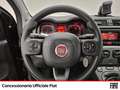Fiat Panda 1.0 firefly hybrid city life s&s 70cv Noir - thumbnail 10