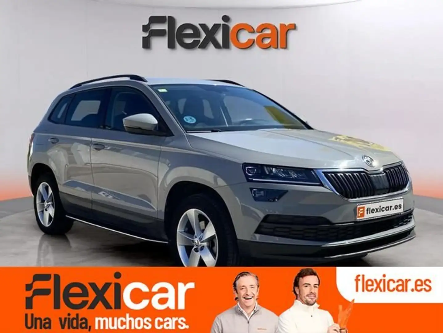 Skoda Karoq 1.0 TSI Ambition Gris - 1