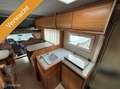 Ford Allhoven - thumbnail 7