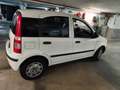 Fiat Panda Panda 1,2 CityCity Weiß - thumbnail 6