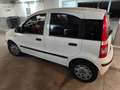 Fiat Panda Panda 1,2 CityCity Weiß - thumbnail 7