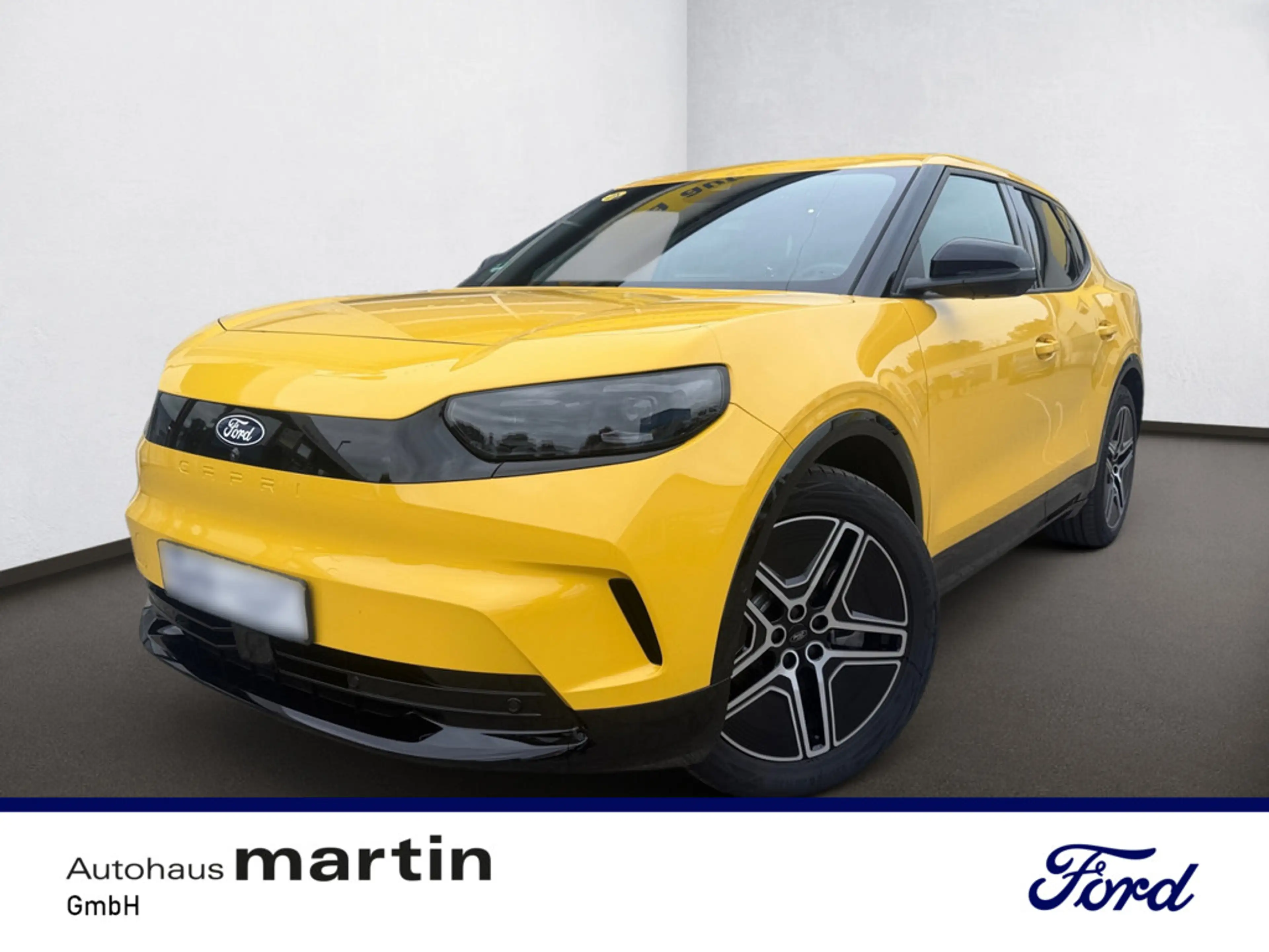 Ford Capri Premium AWD Extended Range MATRIX-LED