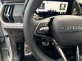 Skoda Kodiaq 2.0 TSI 4x4 Sportline Standheizung AHK_Pano Grau - thumbnail 30