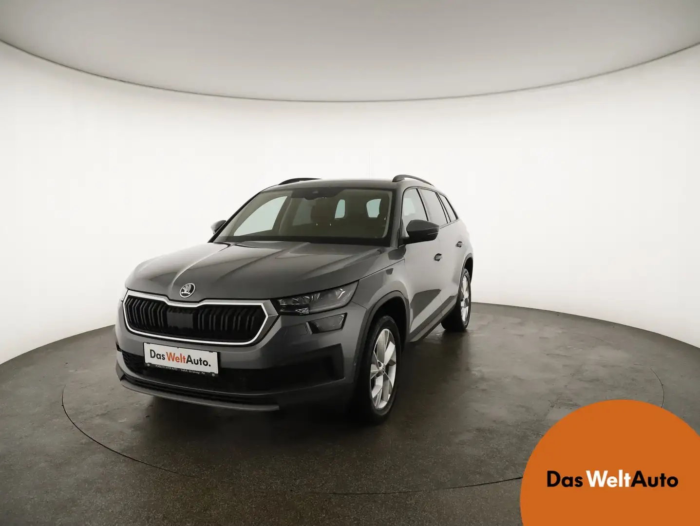 Skoda Kodiaq Ambition TDI SCR DSG Grau - 1