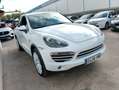 Porsche Cayenne Diesel Platinum Edition Aut. Blanco - thumbnail 8