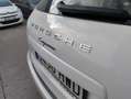 Porsche Cayenne Diesel Platinum Edition Aut. Blanco - thumbnail 11