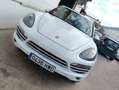 Porsche Cayenne Diesel Platinum Edition Aut. Blanco - thumbnail 3