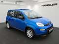 Fiat Panda Hybrid *Klima* *PDC* *digitaler Tacho* uvm. Blau - thumbnail 2