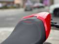 Ducati Monster 797 + A2-Full | "TVA Déductible!" Rood - thumbnail 13