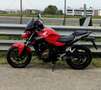 Honda CB 500 F - Patente A2 Rot - thumbnail 7
