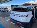 Land Rover Range Rover Evoque 2.2L SD4 Pure 4x4 190 - thumbnail 5