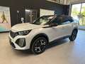 Peugeot 2008 1.2 PureTech GT S&S 130 EAT8 Wit - thumbnail 21
