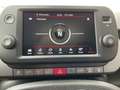 Fiat Panda TwinAir 90 4x4 Cross Weiß - thumbnail 13
