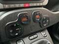 Fiat Panda TwinAir 90 4x4 Cross Weiß - thumbnail 12
