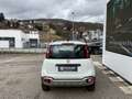Fiat Panda TwinAir 90 4x4 Cross Weiß - thumbnail 5