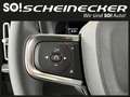 Volvo C40 Recharge Single Rear 67kWh Plus Grau - thumbnail 11