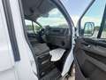Ford Transit Custom Trend Weiß - thumbnail 12