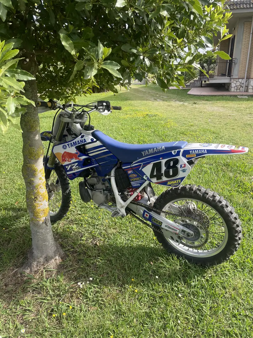 Yamaha YZ 250 Targata - 2
