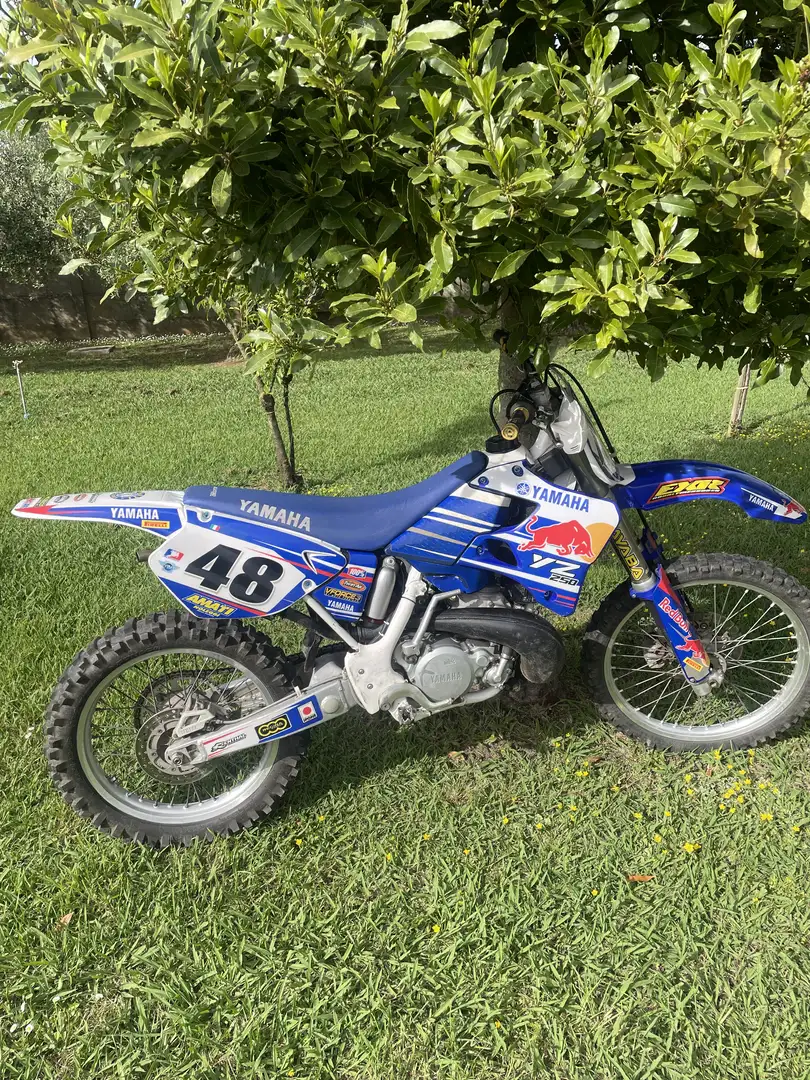 Yamaha YZ 250 Targata - 1