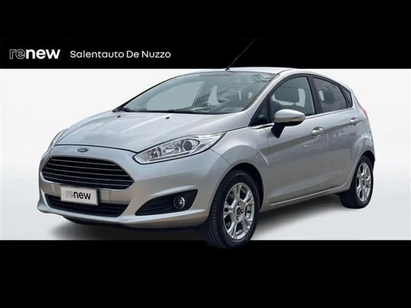 Ford Fiesta 5 Porte 1.5 TDCi 75cv Titanium E6 Grigio - 1