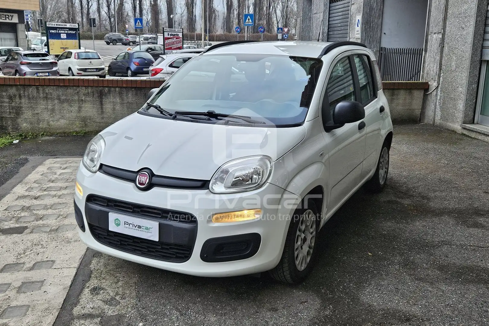 Fiat Panda Panda 1.2 Pop Blanc - 1