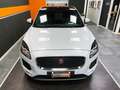 Jaguar E-Pace 2.0d i4 180cv AWD 4x4 Dynamic S Autom. HUD-CarPlay Weiß - thumbnail 4