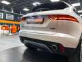 Jaguar E-Pace 2.0d i4 180cv AWD 4x4 Dynamic S Autom. HUD-CarPlay Weiß - thumbnail 17