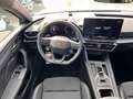 CUPRA Leon Sportstourer 1.5 eTsi 110 KW (150 PS) DSG Weiß - thumbnail 4