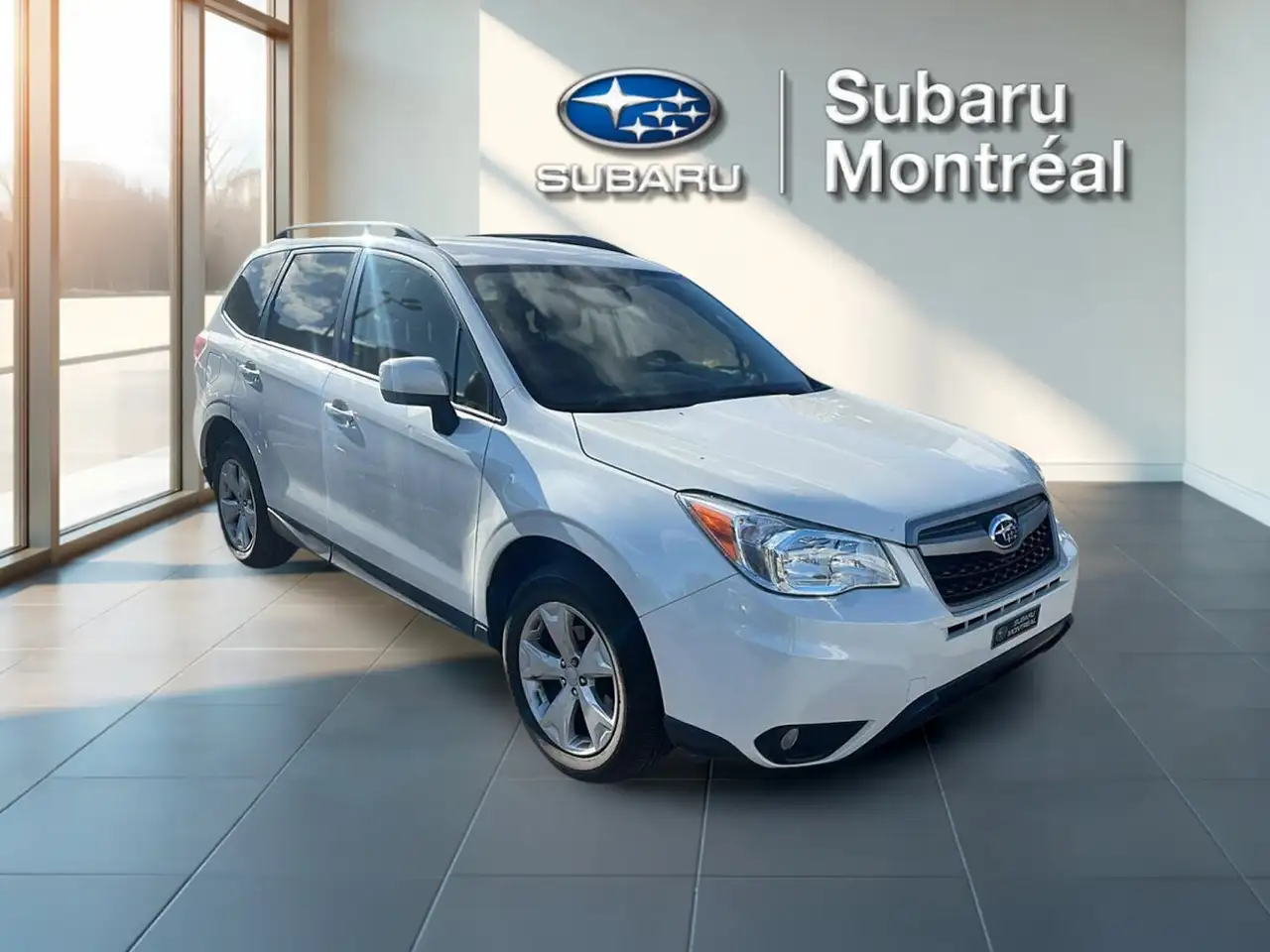 Subaru Forester fotografie Subaru Forester