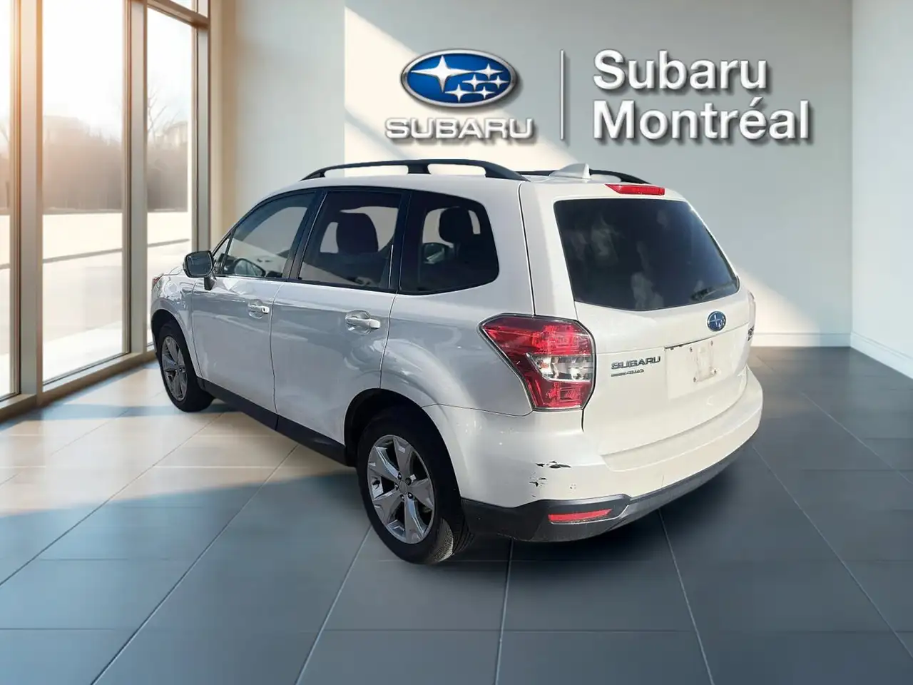 Subaru Forester fotografie Subaru Forester
