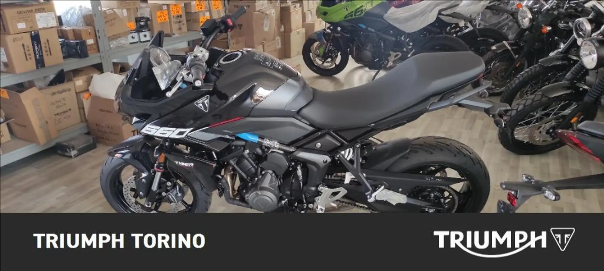 Triumph Tiger Sport Sport Abs Gris - 1