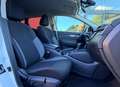 Nissan Qashqai Qashqai 1.7 dCi 150 CV 4WD CVT Tekna Bianco - thumbnail 13