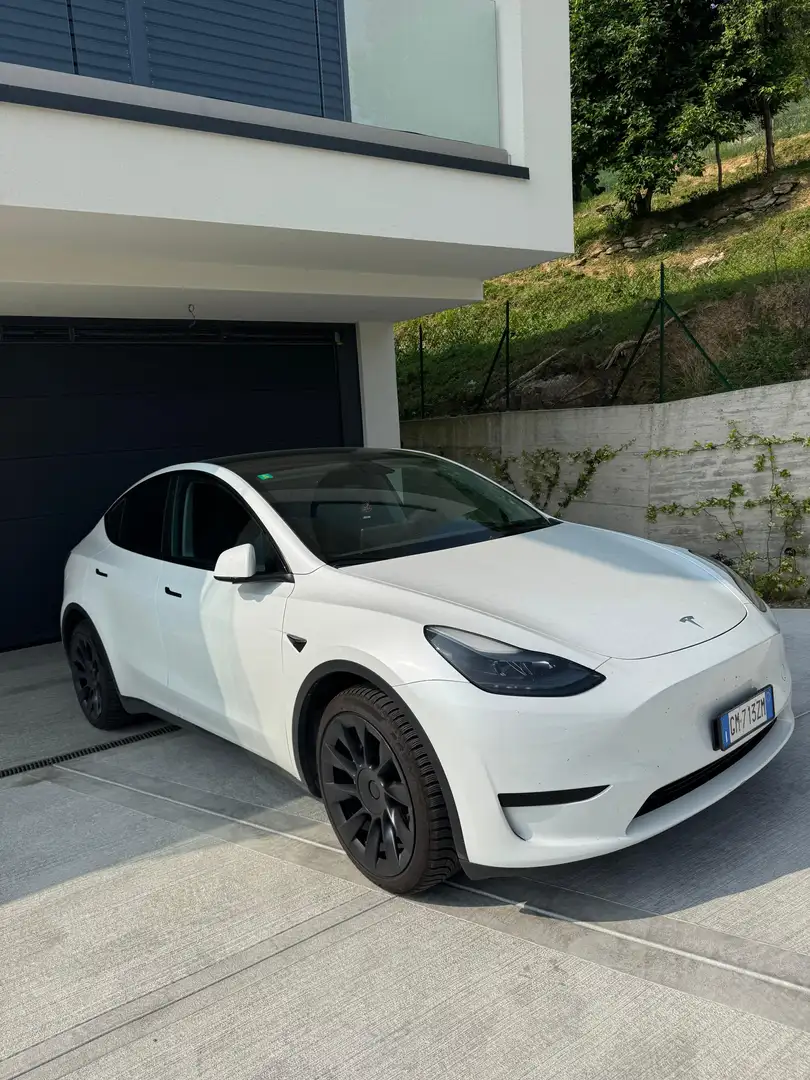 Tesla Model Y Single Motor rwd - 1