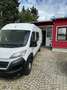 Fiat Ducato L4 H2 Doka Kasten - thumbnail 5