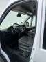 Fiat Ducato L4 H2 Doka Kasten - thumbnail 2