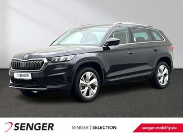 Style 2.0 TDI DSG LED Pano ACC 7-Sitzer