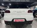 Porsche Macan S Diesel PANO/ACC/BOSE/LEDER/AUT/XENON/AHK Weiß - thumbnail 6