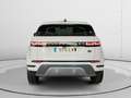 Land Rover Range Rover Evoque 2.0 D163 4WD MHEV Blanco - thumbnail 3