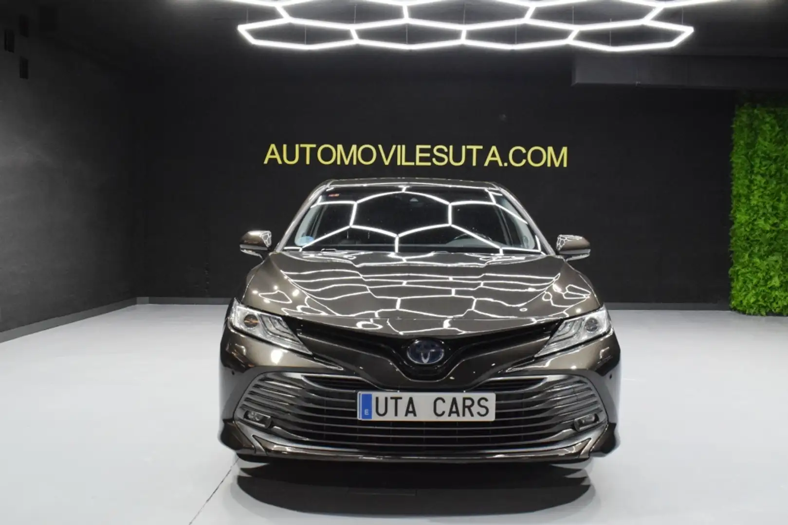 Toyota Camry Híbrido Luxury Aut. Bruin - 2