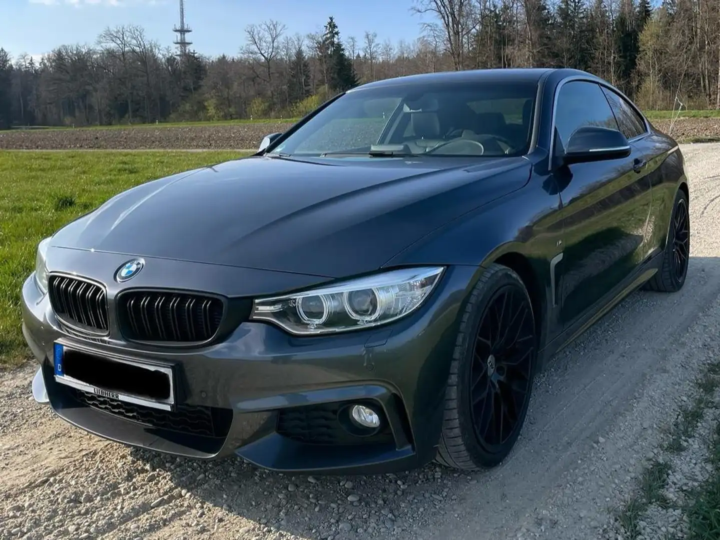 BMW 435 435i Coupe Aut. Sport Line Šedá - 1