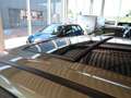 Ford Kuga 1.5 Ecob.150pk Titanium SCHUIFDAK/XENON/DODEHOEK/A Vert - thumbnail 10