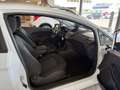 Ford Fiesta 1,25 Ambiente Schrägheck *1. HAND*SCHECKHEFT* Weiß - thumbnail 10