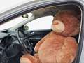 Ford Kuga Trend Klima SHZ PDC AHK 1. Hand Weiß - thumbnail 11