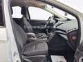 Ford Kuga Trend Klima SHZ PDC AHK 1. Hand Weiß - thumbnail 19