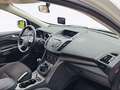 Ford Kuga Trend Klima SHZ PDC AHK 1. Hand Weiß - thumbnail 15
