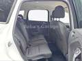 Ford Kuga Trend Klima SHZ PDC AHK 1. Hand Weiß - thumbnail 24