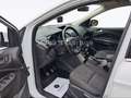Ford Kuga Trend Klima SHZ PDC AHK 1. Hand Weiß - thumbnail 12